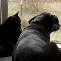 (Photo Credit: Jacki Vance-Kuss)
