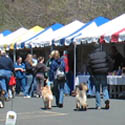 Walk Fair