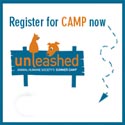 Unleashed