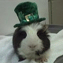leprechauns 