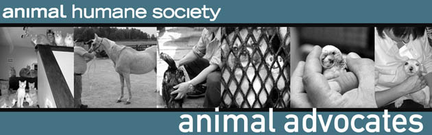 Animal Advocates Banner