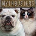 Mythbusters