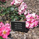memorial garden