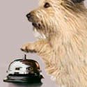 PetConcierge