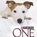 Purina