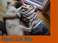Rescue Me