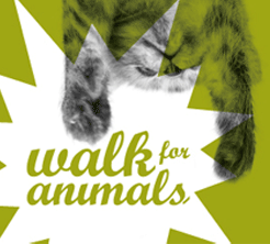 Walk for Animals