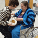 Therapy Animals