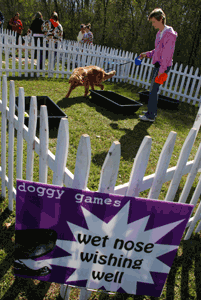 Wet Nose Wishing Well