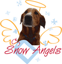 Snow Angels