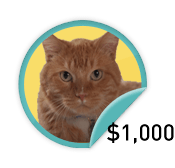Top Tom Cat - for those top fundraisers who have earned $1,000