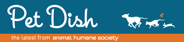 Pet Dish! The latest scoop from Animal Humane Society