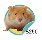 Hamster Hero - for those heroic fundraisers who have raised $250