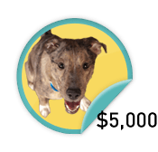 Alpha Fundraiser - for the master fundraisers who have raised $5,000