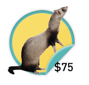 Crafty Ferret - for those crafty ones who have raised $75