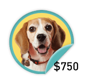 Tracking Hound - for those fundraisers who hounded enough to raise $750 in donations