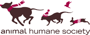 AHS Logo