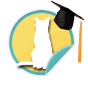 Alumni Cat - for those walkers whose furry felines were adopted from Animal Humane Society
