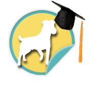 Alumni Dog - for those walkers whose perfect pooches were adopted from Animal Humane Society