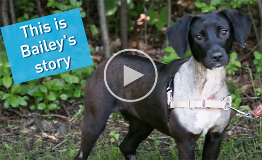 Video icon to watch Bailey's story