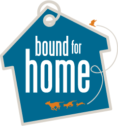 Bound for Home
