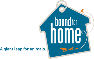 Bound for Home