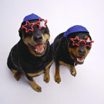 celebrate2011.jpg