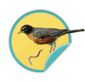 Early Bird - for those Walkers who were among the first to register for this year's Walk