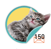 Kitten Purrer - for those who have purr-fected the art of the ask and sent 150 emails