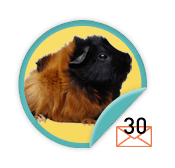 Guinea Pig Chatterer  - for those ambitious types who have sent 30 emails