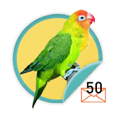 Parakeet Warbler  - for those go-getters who have sent 50 emails