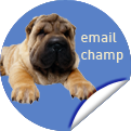email champ