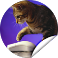 updatedpage