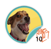 Pet Lover - for those Pet Lovers who have garnered ten donations