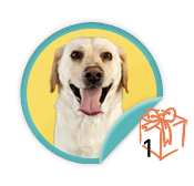 Animal Pal - for those pals who have garnered their first donation