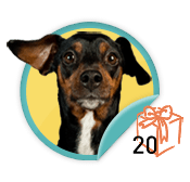 Animal Guardian - for those hard working souls who have garnered twenty donations