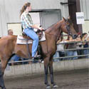 horsegirlforever.jpg