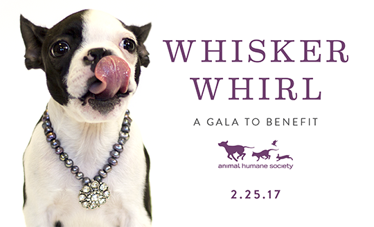 Whisker Whirl — a gala to benefit Animal Humane Society