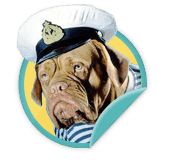 Oh Captain, My Captain - for those team captains who will lead their teams to fundraising victory