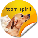 team spirit