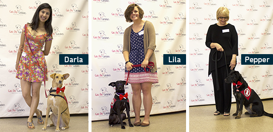 Darla, Lila, and Pepper sit with their owners at graduation