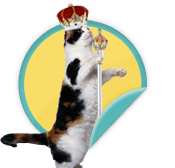 Humane Royalty - for those noble animal lovers that volunteer at Animal Humane Society