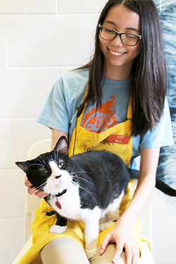Student Volunteer spending time with a cat