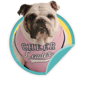 For those on a fundraising team - we've got spirit, yes we do, we've got spirit, how about you?