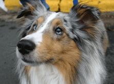 walkphoto4.gif