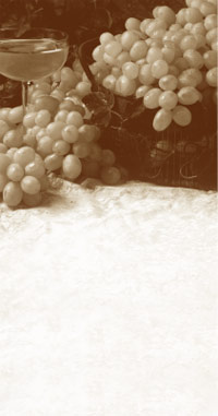 Wine and Grapes