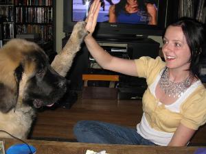 High Fives all around for raising money! 