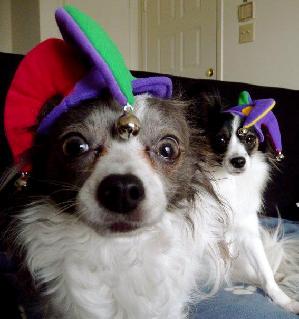 Tommy and Arlo
