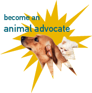 Animal Advocate