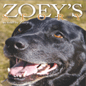 Zoey's Story